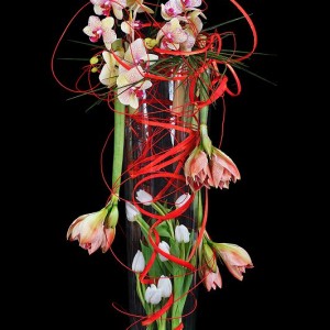 Grand vase orchidee